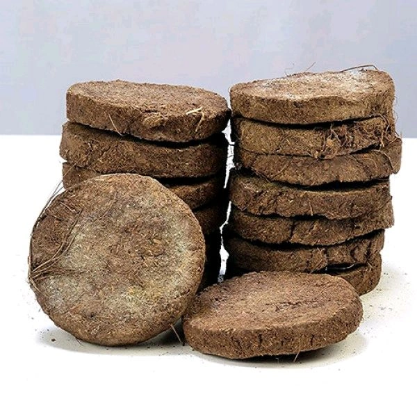Cow Dung Cake - 9