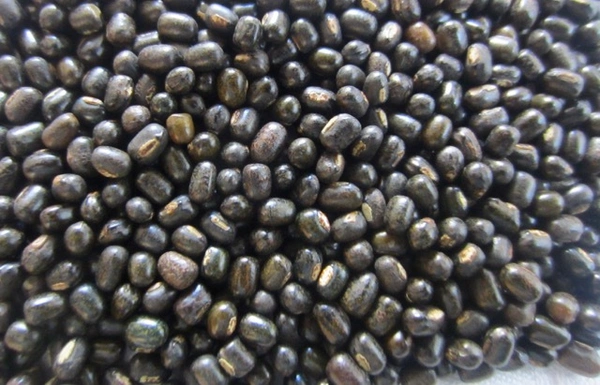 Loose Dal Mah Sabat  - 1Kg