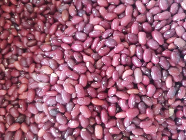 Loose Rajmah Red 