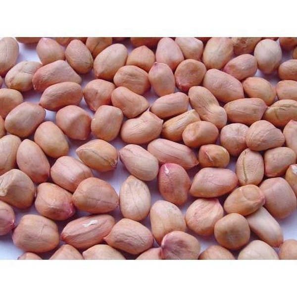 Singdana 250g