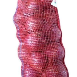 Onion 5kg Pack