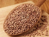 Masar Sabut - 250 GM
