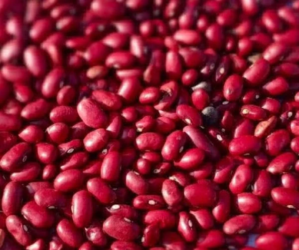 Rajma Laal Bade - 500 GM