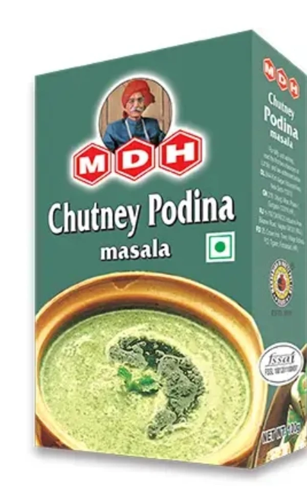 MDH Chutney Pudina Masala - 100 GM