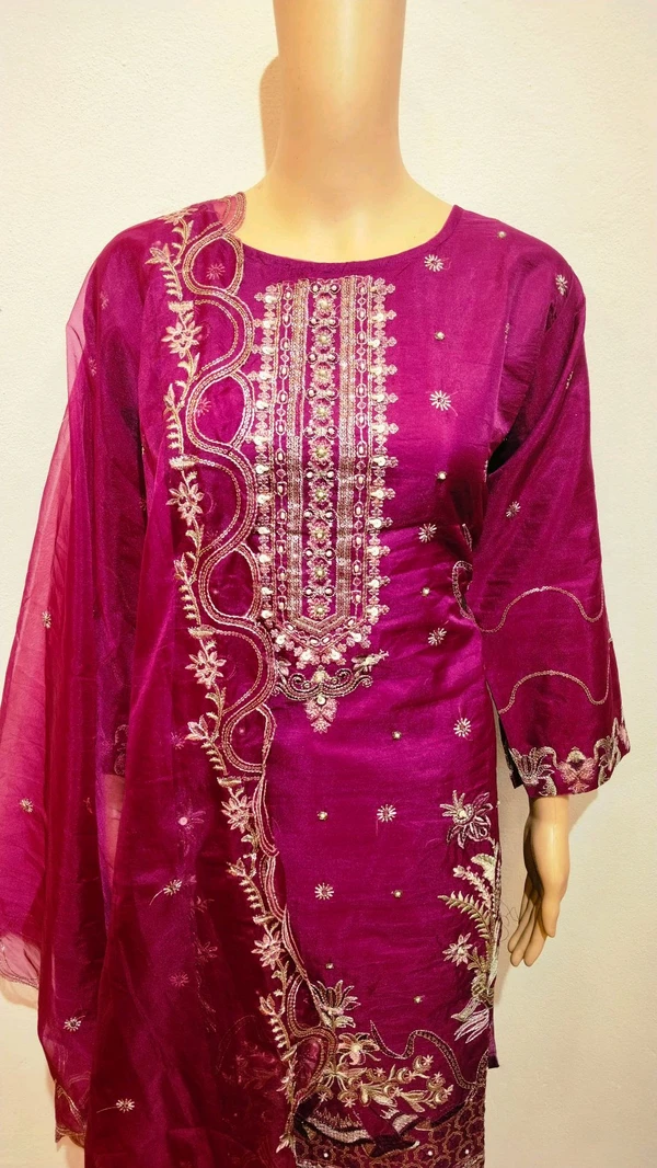 pakistani suit rm1 - xxl