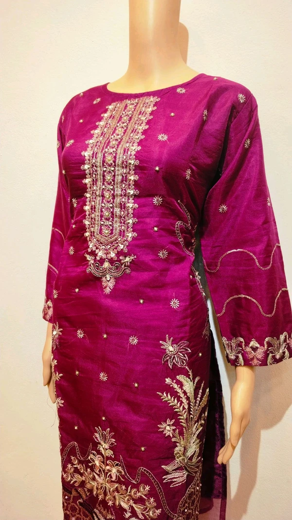 pakistani suit rm1 - xxl