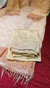  Pakistani readymade offer 1  - peach, Xxl