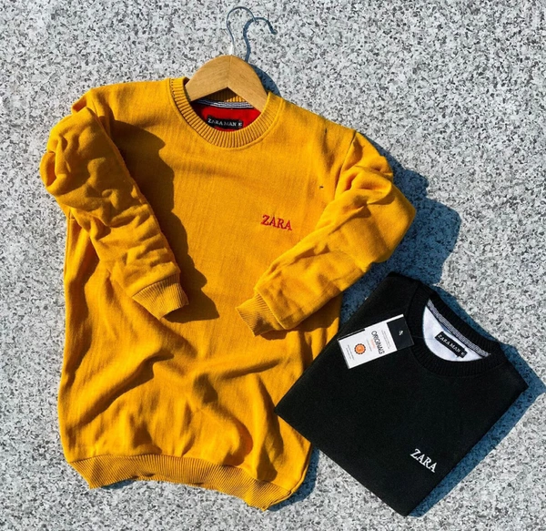 ZARA SoftWarm Sweatshirt