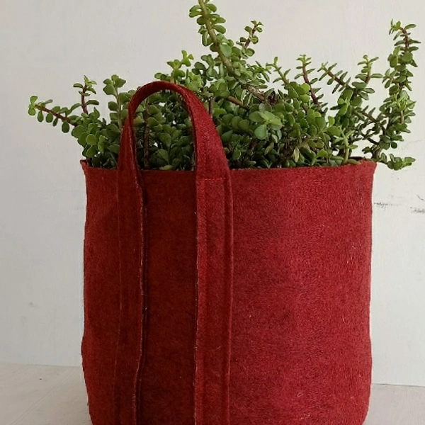 Green Revolutions Grow Bag - 25cm x 30 cm, Blue,Green, Black, Brown etc