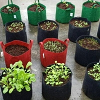 Green Revolutions Grow Bag - 25cm x 30 cm, Blue,Green, Black, Brown etc