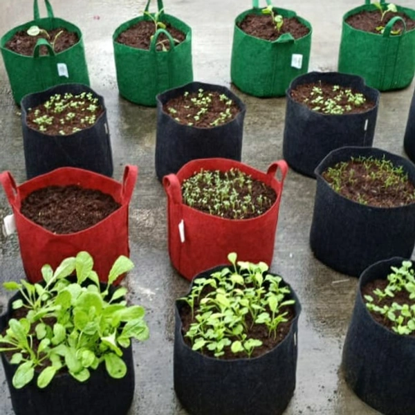Green Revolutions Grow Bag - 25cm x 30 cm, Blue,Green, Black, Brown etc