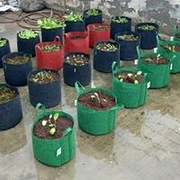 Green Revolutions Grow Bag - 25cm x 30 cm, Blue,Green, Black, Brown etc