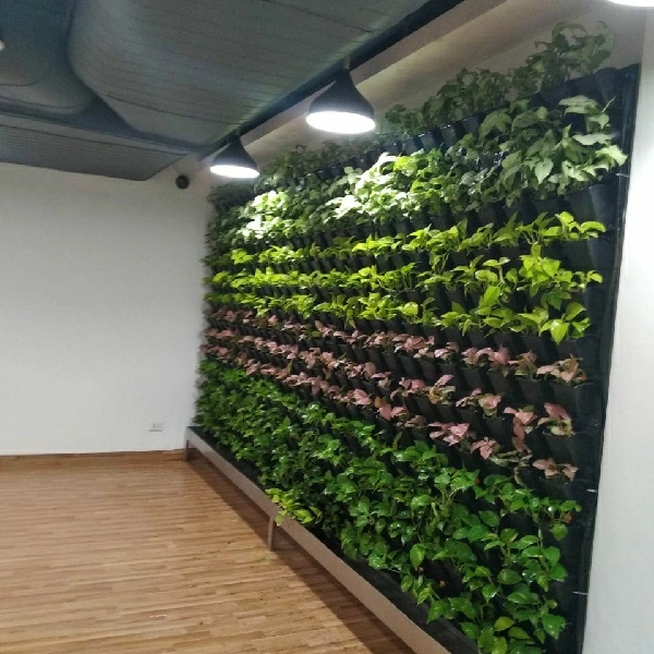 Green Revolutions Green Wall Full Set Up Pr Sqft  - 850