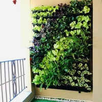Green Revolutions Green Wall Full Set Up Pr Sqft  - 850