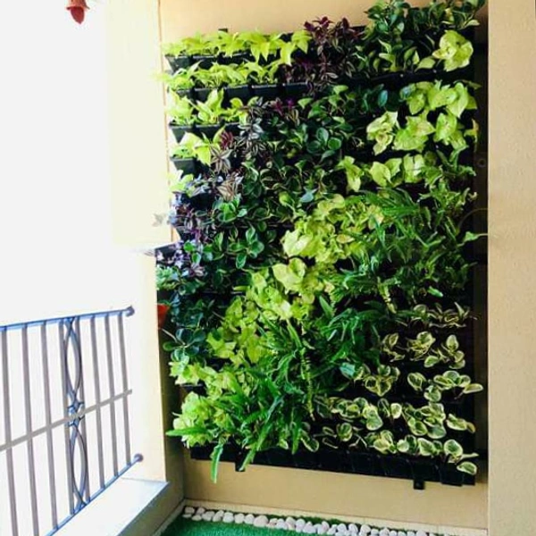 Green Revolutions Green Wall Full Set Up Pr Sqft  - 850