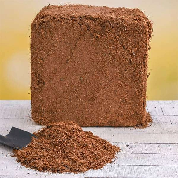 Coco Pit Brics In 5kg 