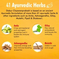 DABUR INDIA LIMITED Chyawanprakash sugar free - Dabur  - 500Gm