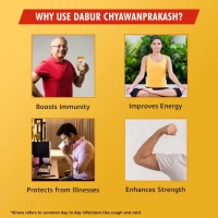 DABUR INDIA LIMITED Chyawanprakash sugar free - Dabur  - 500Gm