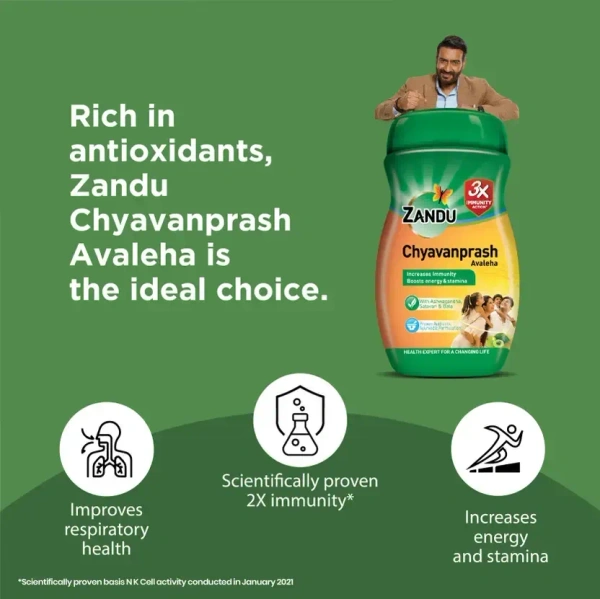 ZANDU PHARMACEUTICAL Chyavanaprash Avaleha - Zandu  - 450Gm