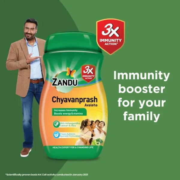 ZANDU PHARMACEUTICAL Chyavanaprash Avaleha - Zandu  - 450Gm