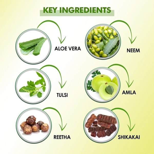 KUDOS AYURVEDA  Amla,Reetha Shikakai Shampoo - Kudos  - 500ML