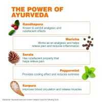 HIMALAYA PHARMA Rumalaya Active Spray - Himalaya - 50g