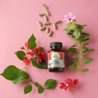 ORGANIC INDIA Sugar Balance Capsule - Organic - 60Capsule