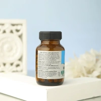 ORGANIC INDIA Breath Free Capsule - Organic - 60Capsule