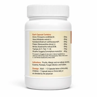 PAVAMAN Tiktamrit Capsule - Pavaman - 100Capsule