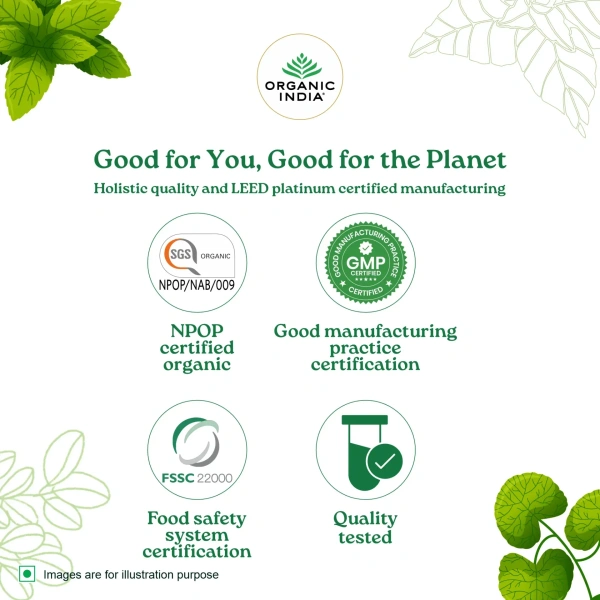 ORGANIC INDIA Tulsi Mulethi Tea - Organic - 25 Bags