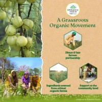 ORGANIC INDIA Tulsi Green Tea Jasmine - Organic  - 25Bags