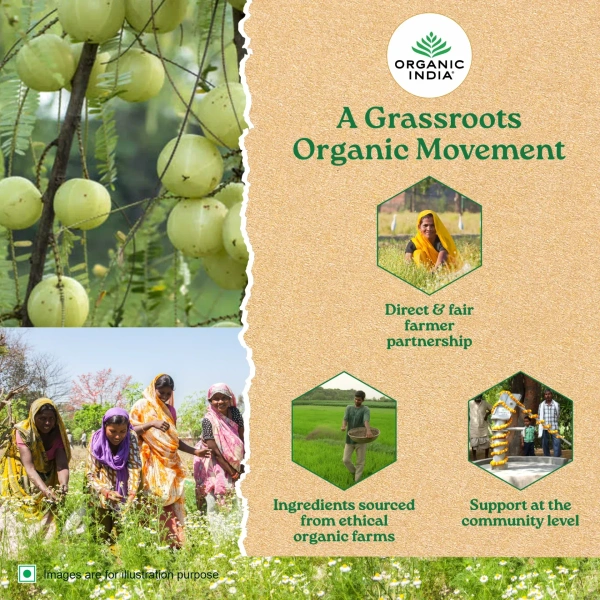 ORGANIC INDIA Tulsi Peppermint Refresh - Organic  - 25 Bags