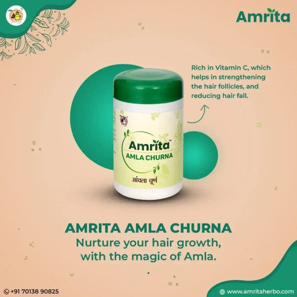 AMRITA DRUGS  Amla Churna  - Amrita - 100Gm