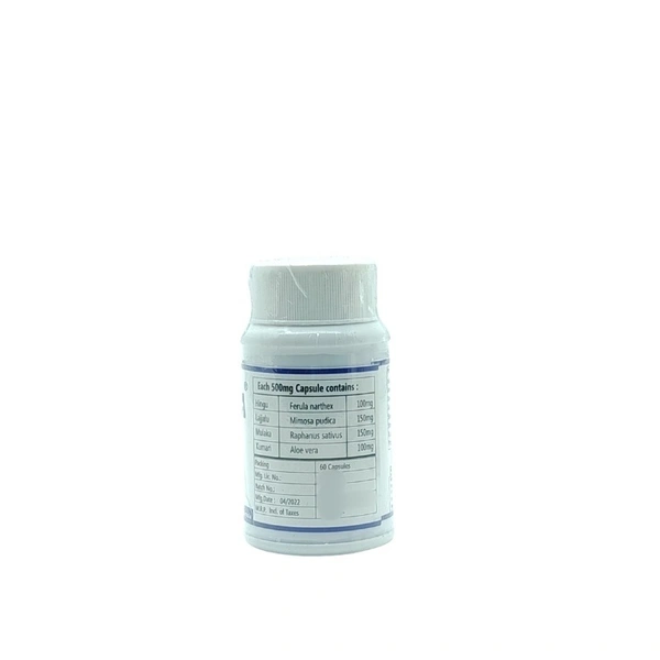 VASISHTA PHARMA Mrudumoola Capsule - Vasishta - 60 Capsules