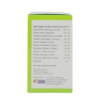 PHYTO CASTLE Pasout Capsule - Phyto  - 30 Capsules