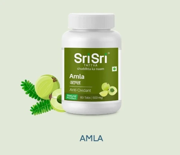 Sri Sri Tattva Amla 500mg Tablet - 60Tablets