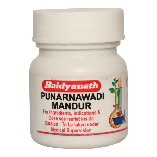 BAIDYANATH Punarnavadi Mandur - Baidyanath - 40Tablet