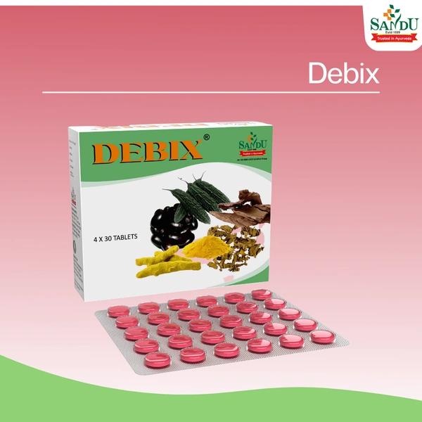 SANDU BROTHERS Debix Tablet - Sandu  - 30 Tablets