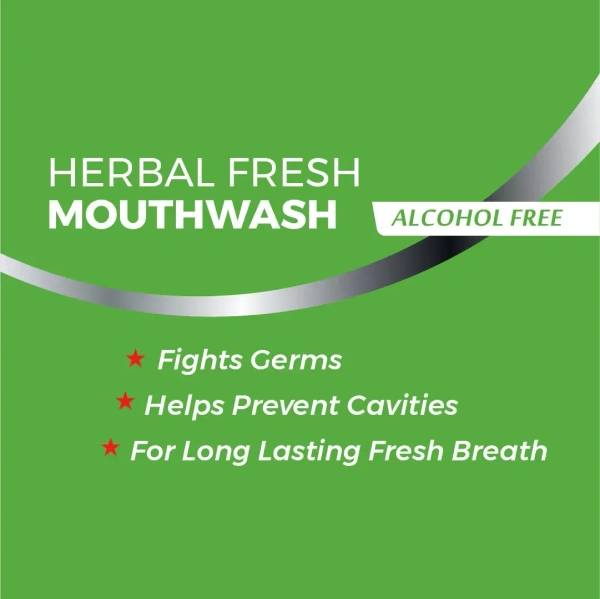 K.P.NAMBOORDIRI  Herbal Fresh Mouthwash - K.P.Namboodari'S - 100ml