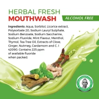 K.P.NAMBOORDIRI  Herbal Fresh Mouthwash - K.P.Namboodari'S - 100ml