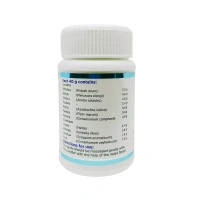 SAGAR PHARMACEUTICAL H-Gum Powder - Sagar  - 40Gm
