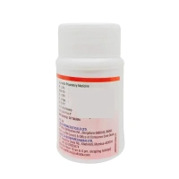 SHREE DHOOTAPAPESHWA Abhraloha Tablet - Shree  - 30 Tablets