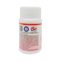 SHREE DHOOTAPAPESHWA Abhraloha Tablet - Shree  - 30 Tablets