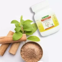 DR.JAIN S FOREST HER Sandalwood Powder - Dr. Jain - 50Gm