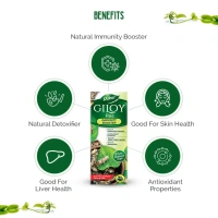 DABUR INDIA LIMITED Giloy Juice - Dabur - 1L