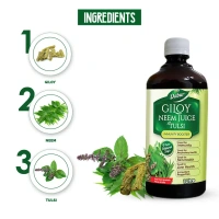 DABUR INDIA LIMITED Giloy Neem Juice With Tulsi - Dabur - 1L