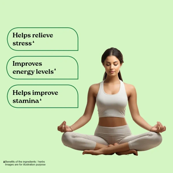 ORGANIC INDIA Ashwaganda Capsule - Organic - 60Capsule