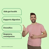 ORGANIC INDIA Triphala Powder - Organic - 100g