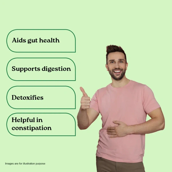 ORGANIC INDIA Triphala Powder - Organic - 100g