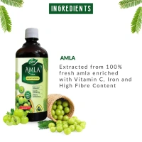 DABUR INDIA LIMITED Amla Juice - Dabur - 1L